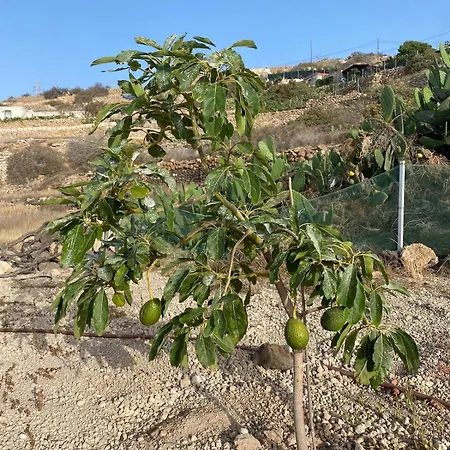 Appartamento La Almudena - Tenerife *
